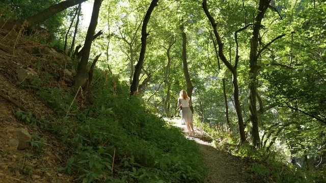 Slow tilt on Vratna park nature 4K 2160p 30fps UltraHD footage - Eastern Serbia beautiful forest 3840X2160 UHD tilting video 