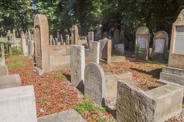 KRAKOW, POLAND - SEPTEMBER 4, 2016: Tombstones on new Jewish cemetery in Krakow, Poland