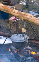 Cooking in cauldron on campfire at forest