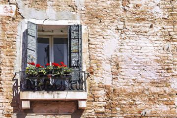 Fototapeta na wymiar A window with a geranium on a brick facade