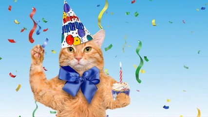 Cinemagraph - Birthday cat .  Animation .