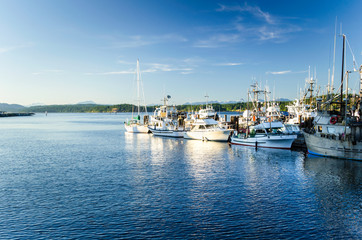 Fototapeta premium Fishing Boats in Harbour in Campbell River, BC, at Sunset