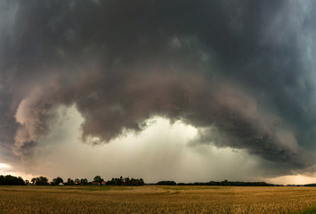 Wolke