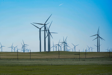 View of a field full of wind turbines