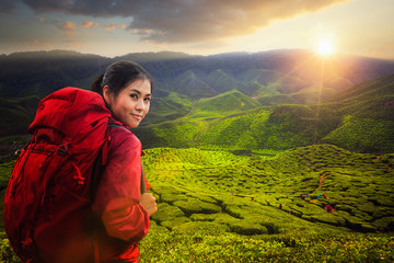 Asian lady backpack and travel the green tea plant in Cameron highlands