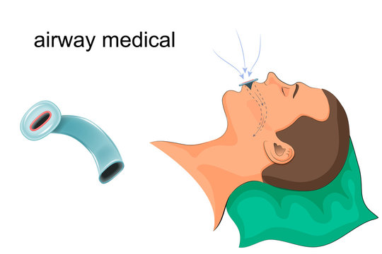 medical the duct in the mouth