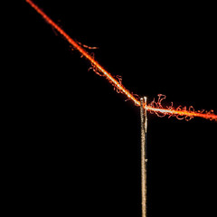 Fototapeta premium Thread The Needle