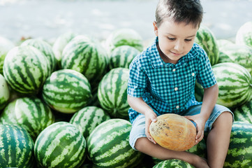 Fototapeta premium boy eating watermelon. happy child in the field.