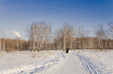 Winter landscape.A walk in the Park.
