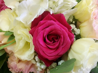 Obraz premium flower, beautiful, bouquet, bouquets, background, white, summer, love, nature, wedding, beauty, color, red, decoration, holiday, plant, floral, celebration, day, head, gift, family, blossom, valentine