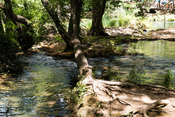 Krka