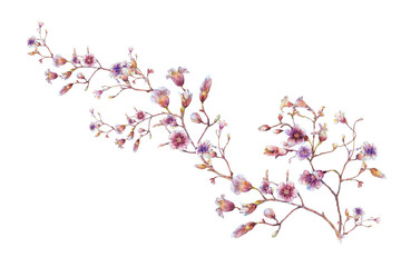 watercolor painting of leaves and flower, on white background