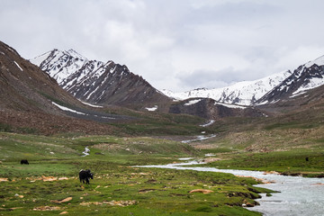 Fototapeta na wymiar Landscape around Leh district in Ladakh, India 