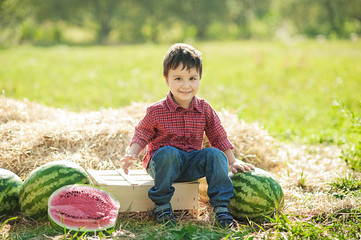 boy eating watermelon. happy child in the field.