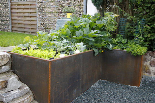 hochbeet