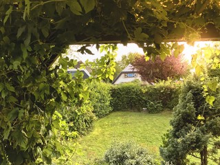 Spalier Photos Royalty Free Images Graphics Vectors Videos Adobe Stock