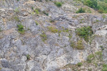 goats on a high cliff