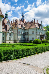 Background of Shenborn Castle in the Ukrainian carpathians