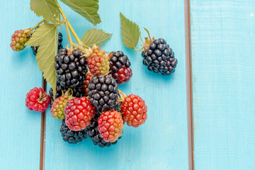 Blackberries and raspberries branch with leaves on a blue wooden rustic table.