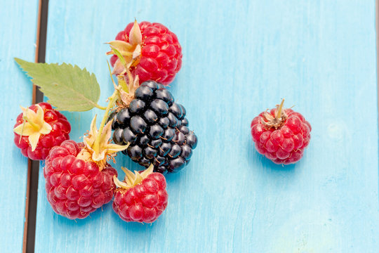 Blackberries and raspberries bunch with leaves on a blue wooden rustic table.