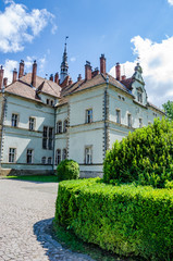 Background of Shenborn Castle in the Ukrainian carpathians