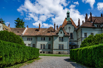 Background of Shenborn Castle in the Ukrainian carpathians