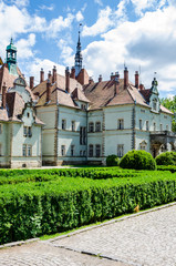 Background of Shenborn Castle in the Ukrainian carpathians