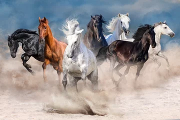 Crédence de cuisine en verre imprimé Chevaux Troupeau de chevaux dans une tempête de poussière du désert