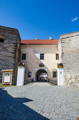 Background of Shenborn Castle in the Ukrainian carpathians