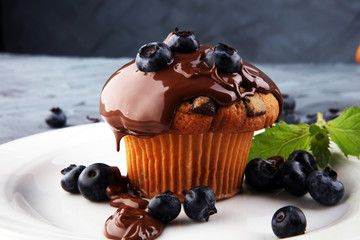 Freshly baked blueberry muffins with fresh blueberries