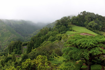 Fog enveloped the mountain peaks. San Miguel. Azores