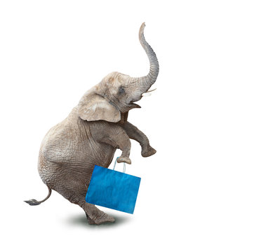 Funny shopper going to supermarket in Black Friday for low cost shopping. Elephant as a icon on white background.