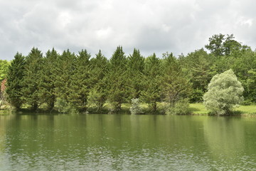 Fototapeta na wymiar Eclaircie sur la rangée de conifères qui bordent l'étang aux eaux couleur kaki ,près de Vendoire au Périgord Vert