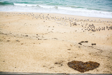 Heart on the sand made out of seaweed