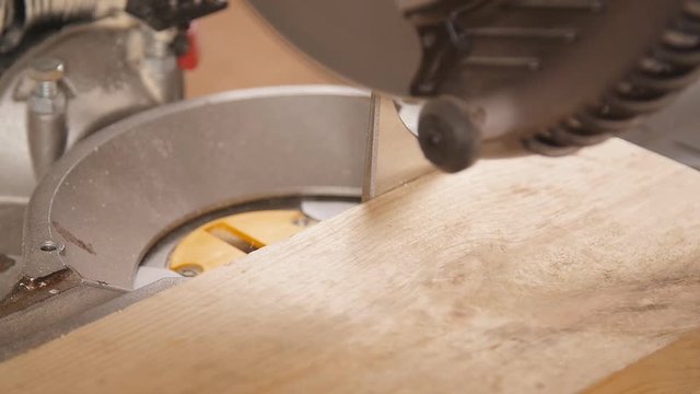 Electric circular saw cutting piece of wood in sawmill