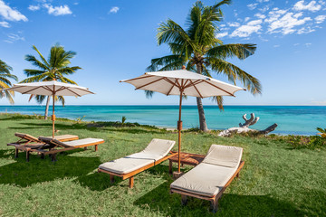 Obraz premium Sunbeds on the lawn