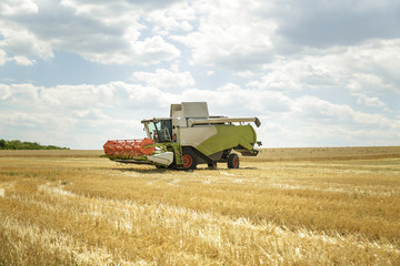 Fototapeta premium Working combine harvester in a wheat field. Agricultural background.