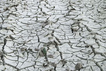 The breakdown of the soil from thirst, the formation of drought after the end of the heat, the...