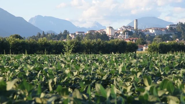 Sant Den&ecirc;l San Daniele del Friuli Сан-Даниеле-дель-Фриули video Սան Դանիելե դել Ֆրիուլի Italia sounding サン・ダニエーレ・デル・フリウーリ 圣达涅莱德尔夫留利 italian Prosciutto crudo سان دانیله دل فریولی