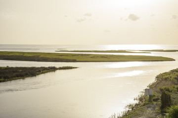 Coastal marsh at Big Bend Wildlife Management Area, Florida