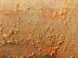 Rust