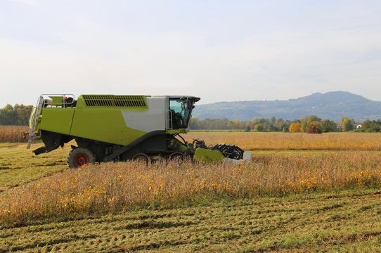 Combine harvesting during cereal harvesting in the cultivated fi
