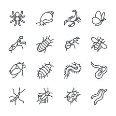 The most popular terrarium insects as line icons / There are typical terrarium insects like snail, spider and ant
