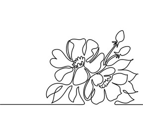 Beautiful flowers. Continuous line drawing. Vector illustration
