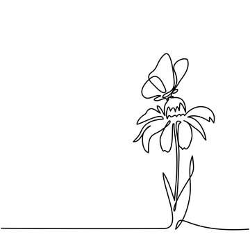 Beautiful flower Echinacea with butterfly. Continuous line drawing. Vector illustration