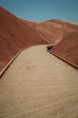 Desert Boardwalk