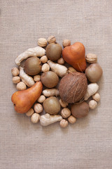 Brown fruits and nuts