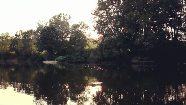 Morava river