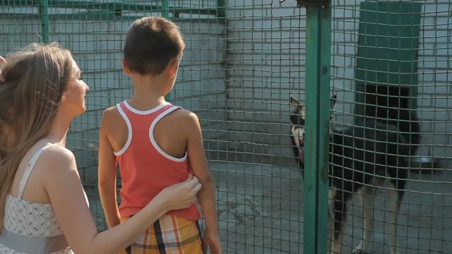 Mom and son search for pet in dog shelter