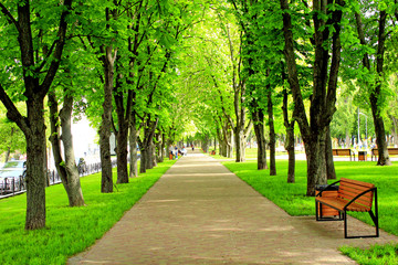 city park with promenade path benches and big green trees